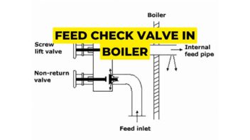 feed check valve