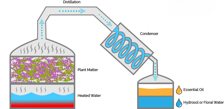 steam distillation