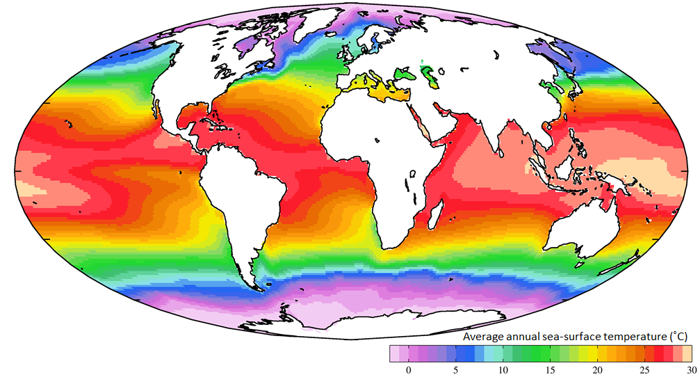 Warm and cold ocean currents