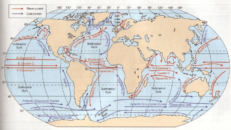 types of ocean circulation